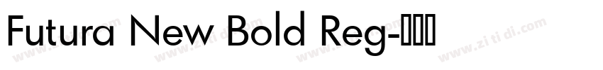 Futura New Bold Reg字体转换 Futura New Bold Reg字体转换